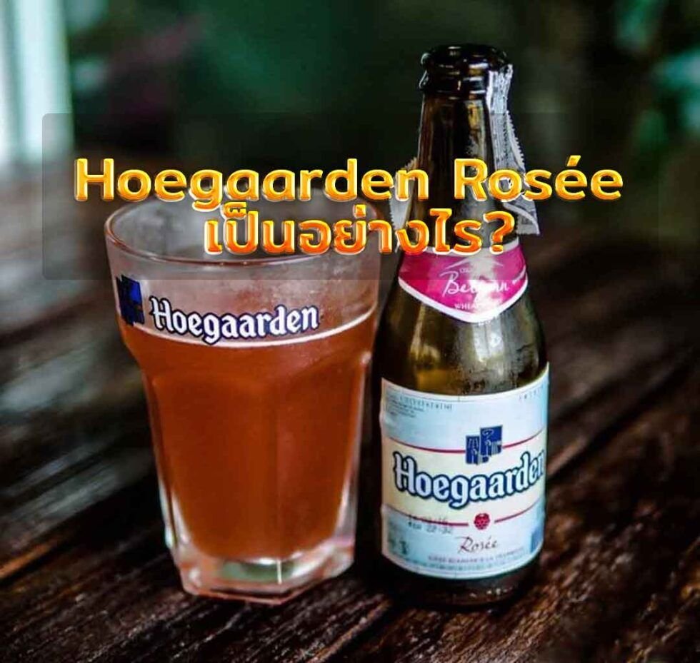 Rosee Hoegaarden Rosée เป็นอย่างไร? – หน้า 3 – Casa Mio Live Music ...